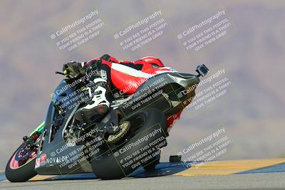 media/Jan-13-2024-SoCal Trackdays (Sat) [[9c032fe5aa]]/Turn 9 Backside (110pm)/